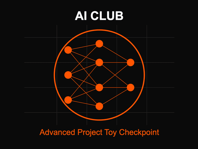 Advanced Project: Toy Version